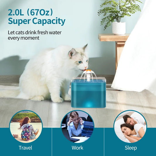 Cat Water Fountain - 2L LED Auto Filter USB Electric Pet Drinker