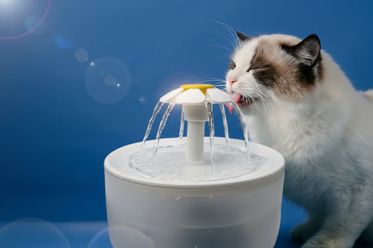 Automatic Pet Water Fountain 1200mL - USB Electric Cat & Dog Drinker with Auto-Filter System