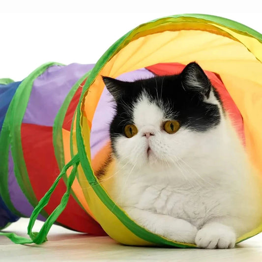 Foldable Cat Tunnel - Interactive Play Tube for Cats & Kittens