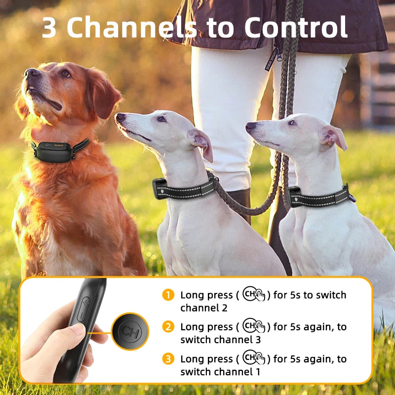 Electric Dog Training Collar - Rechargeable Waterproof Remote Control