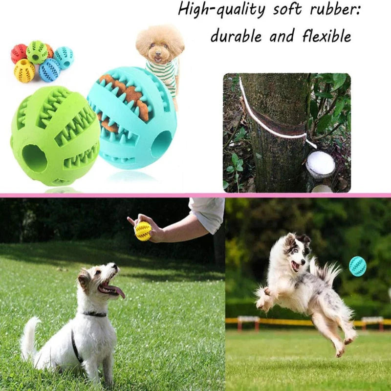 Interactive Dog Toy Ball - Rubber Chew & Treat Feeder