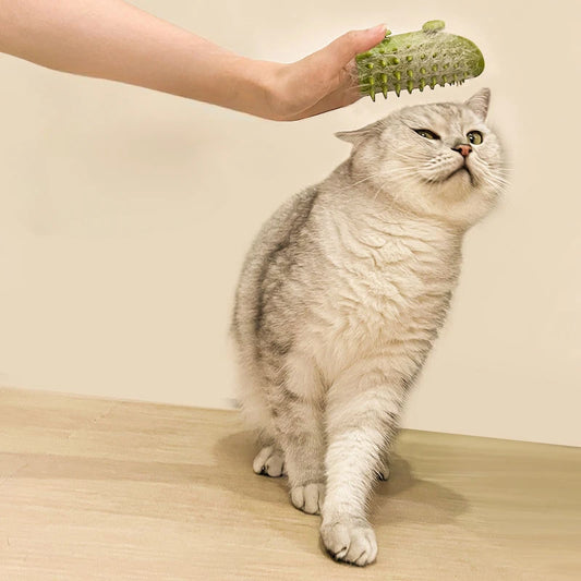Cat Hair Removal Massage Comb - Wall Corner Scratcher Brush