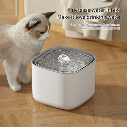 3L Automatic Pet Water Fountain - USB Circulating Filter Dispenser for Dogs & Cats