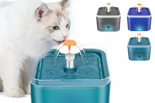 Cat Water Fountain - 2L LED Auto Filter USB Electric Pet Drinker